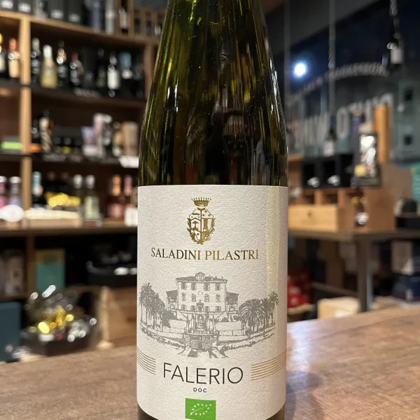 Saladini Pilastri Falerio