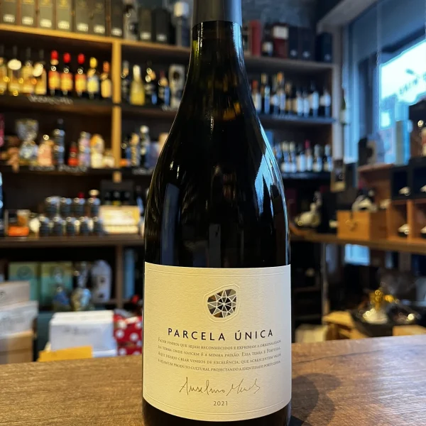 Parcela Unica by Anselmo Mends