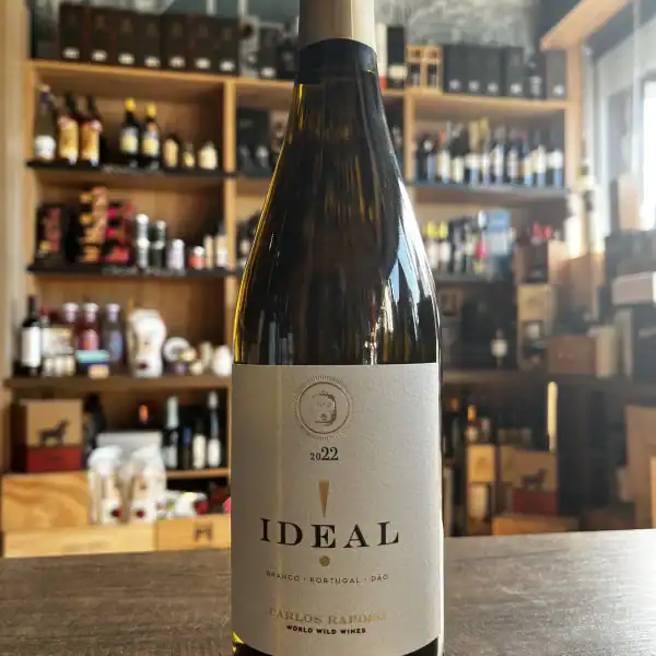 Ideal Dao C.Raposo 2022